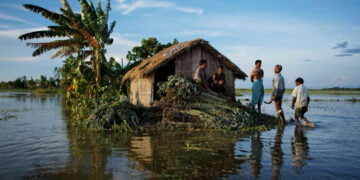 Dünya Gezegenine Elveda Derken – Chris Hedges