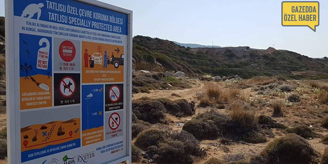 Çevre Dairesi özel çevre koruma bölgesindeki kaçak inşaatı inceliyor