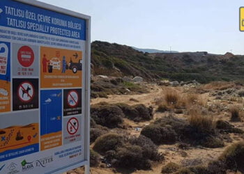 Çevre Dairesi özel çevre koruma bölgesindeki kaçak inşaatı inceliyor