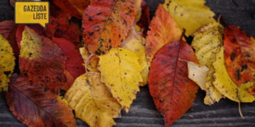 Bir Eylül akşamı dinlenebilecek 10 Türkçe şarkı