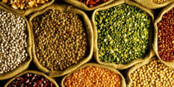 Gezegenin dengesi bozulmadan 10 milyar insan beslenebilir