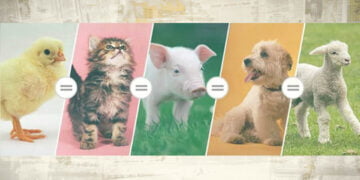 Hayvanların korunmaya değil, rahat bırakılmaya ihtiyaci var – Sıla Kemalettin