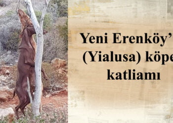 Yine mi cezasız kalacak?