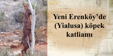 Yine mi cezasız kalacak?