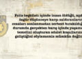 Bu adada insan gibi yaşamak neleri gerektirir? –  Mertkan Hamit
