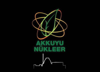 Akkuyu Nükleer Santrali ile ilgili endişeler Avrupa Parlamentosun’da yankı buldu