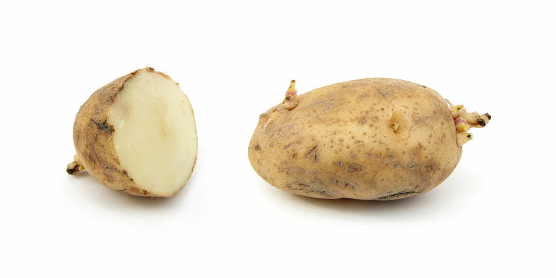 Patateste aracısız dönem başlıyor, fiyatı 3.5 TL