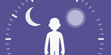 Sirkadiyen Ritim ve Obezite – Seliz Bağcılar