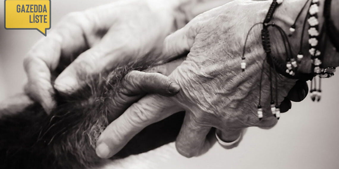 Dünya Hayvan Hakları gününde izleyebileceğiniz 10 film-belgesel