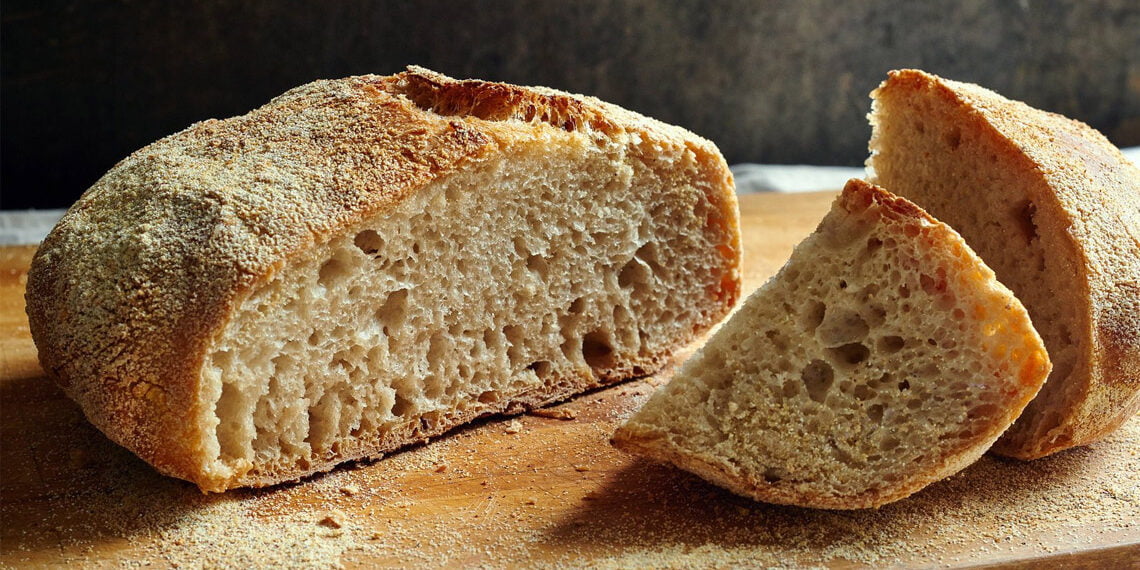Ekmeğin suçu ne? – Seliz Bağcılar