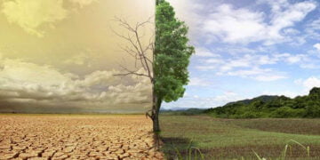 “Et” tüm gıdalar arasında iklime en zararlı gıda