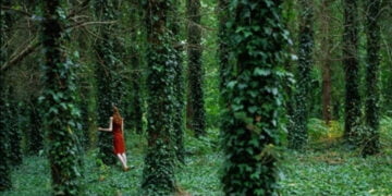 Kadın ve sarmaşık – Tevfik Aytekin