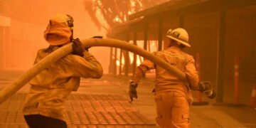 Kaliforniya’da 607 kilometrekarelik ormanlık alan yok oldu