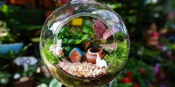 Teraryum Dünyası ve Bil(me)diklerimiz – Aycan Akcin