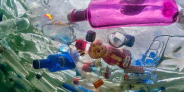 AB plastiği yasaklıyor