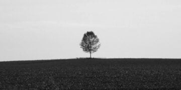 Yabani Yalnızlık – Halil Karapaşaoğlu