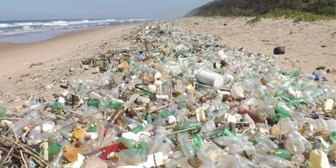 Denizlerdeki kirlenme alarm veriyor