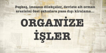 Bakan yetkisini aştı, orman arazisi yasa dışı kiralandı