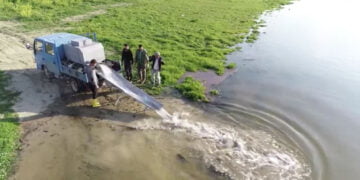 8 bin balık Kanlıköy Barajı’na bırakıldı