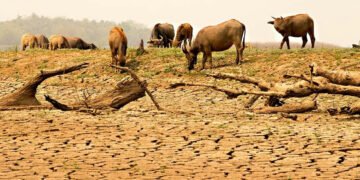170 yılın en sıcak dört yılını yaşadık