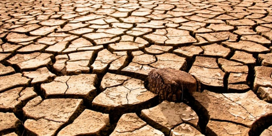 Akdeniz raporu: “Sıcaklıklar 1.4 °C arttı… Küresel ortalama artışlardan yüzde 40 daha fazla”