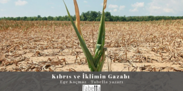 Kıbrıs ve İklimin Gazabı – Ege Kaçmaz