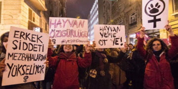 Feminist Mücadeleye Yeni Perspektifler Arayışı: Vegan Ekofeminist Bir Pencereden Bakmak – Fezel Nizam