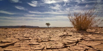 Doğaya verilen zararın geri dönüşü yok