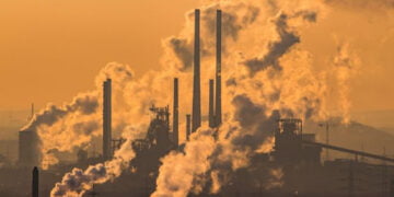 İklim değişikliği aptallaştırıyor