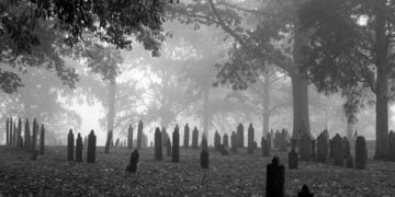 Mezarlıklar aydınların evi midir? – Halil Karapaşaoğlu