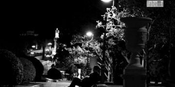 Seçilmiş Yalnızlık Durumu – Buse Özkan