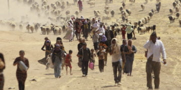 Yerlerinden edilen insanların sayısı rekor düzeye ulaştı