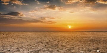 BM raporu: Doğal ekosistemler yüzde 47 oranında kan kaybetti