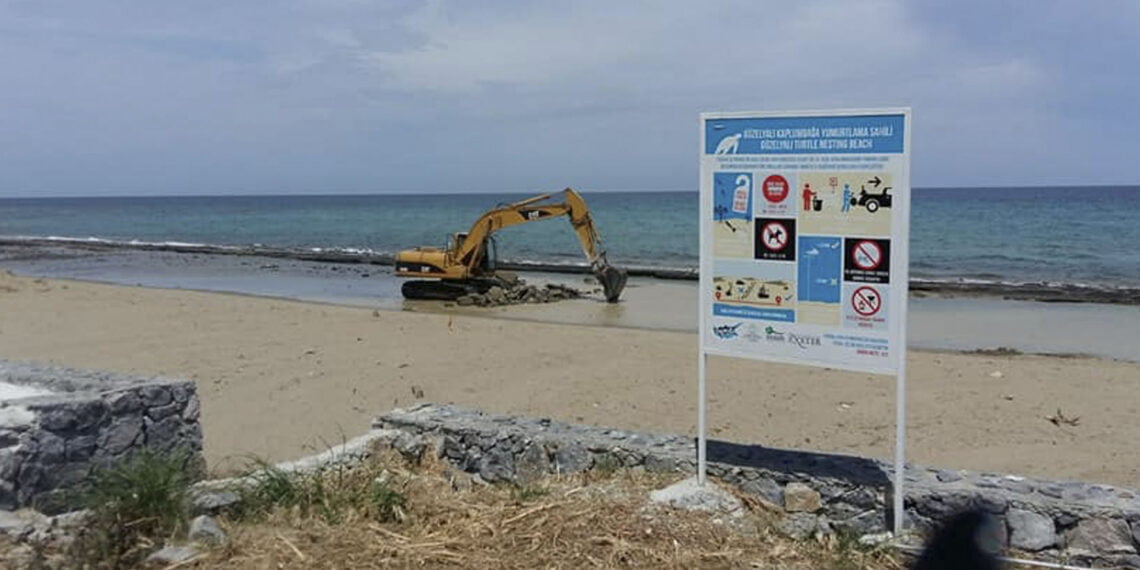 Vasilya’da kaplumbağa yumurtlama alanına iş aracı girdi