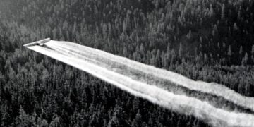  Bahar sessiz ve kuşlar da gelmez oldu – Latif Aran