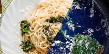 Değişim tabaktan başlar – Fezel Nizam