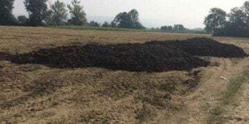 Bok kokusu güneyi de sardı