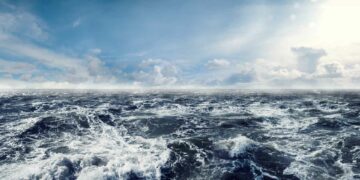 Okyanusun beşte biri keşfedildi