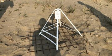 Kaplumbağaların yumurtlama alanlarının korunması için çağrı