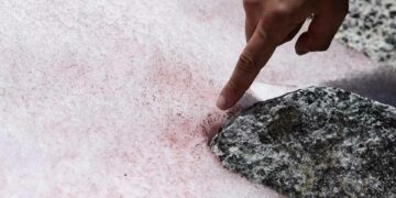 Alpler’de pembeleşen kar, buzulları daha hızlı eritiyor