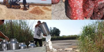 Hiçbir şeye karşı empati duygunuz yok!