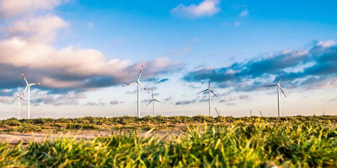 Kadınlar yeşil dönüşümü nasıl güçlendirebilir?  – Irene Giner-Reichl