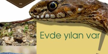 “Nesli tehlikede olan canlıların üremesine yardımcı oluyoruz”