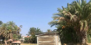 Bölgenin en önemli ortaçağ kenti Mağusa, bu şekilde yönetilmeyi hak etmiyor