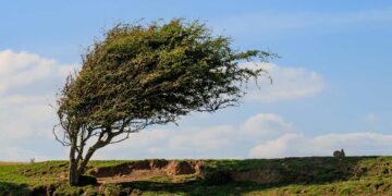 Güçlü rüzgarlara dikkat!