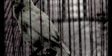 Keşkeler, yalanlaşan üzüntüler | Berkay Çınarlı