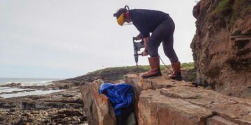 Birleşik Krallık’ta dünyanın en büyük kırkayak fosili bulundu