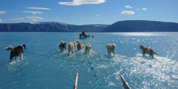 ‘Sıcak kışlar’, aşırı sıcak yaz ayları kadar hasara yol açıyor
