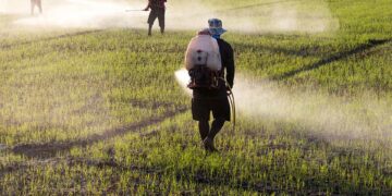 Kimyasal kirlilik insanlık için güvenli sınırı aştı