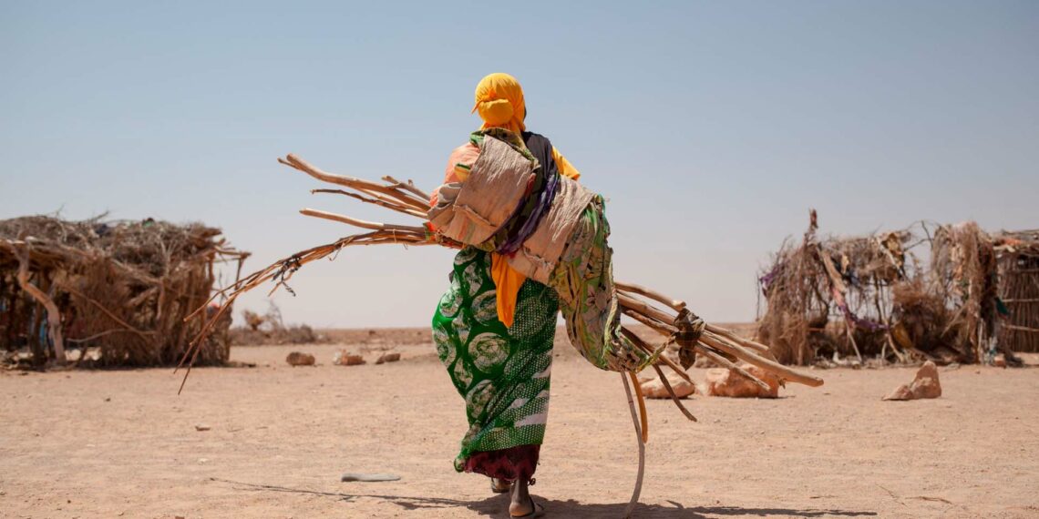 Somali’de 1 milyon kişi kuraklıktan evlerini terk edebilir